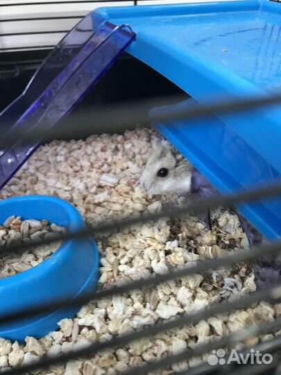 Клетка для хомяка