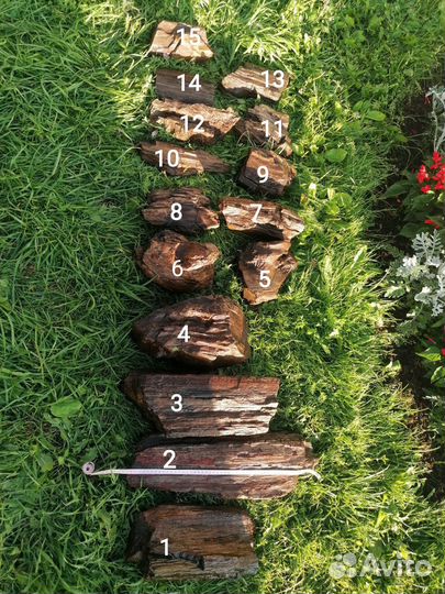 Окаменелое дерево натуральное