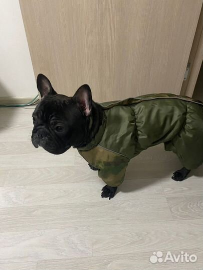 Ищем невесту для жениха