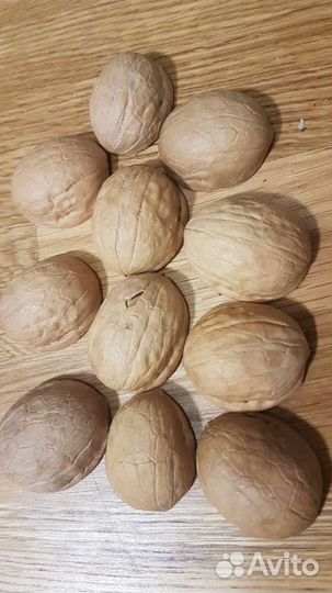 Скорлупа орехов