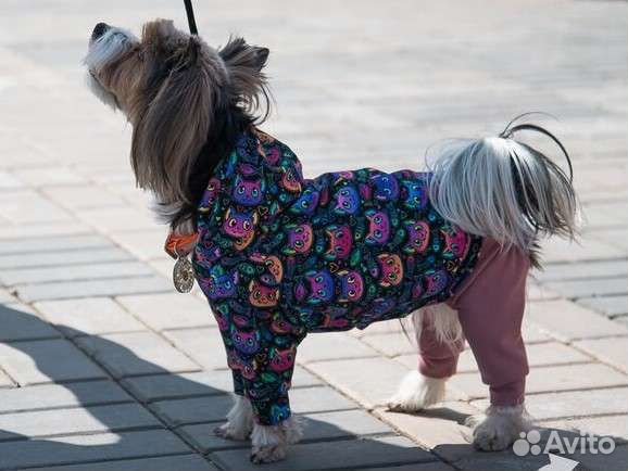 Одежда для собак в наличии и на заказ