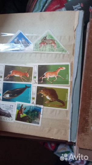 Почтовые марки СССР