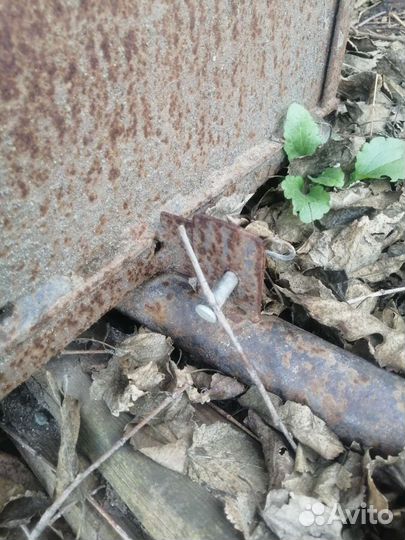 Обмен на ягнят