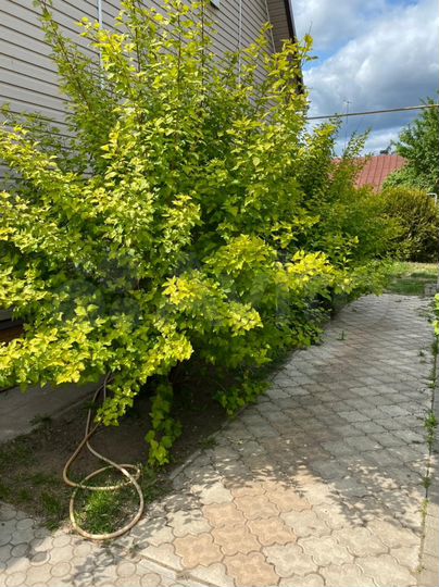 Коттедж 144,8 м² на участке 7 сот.