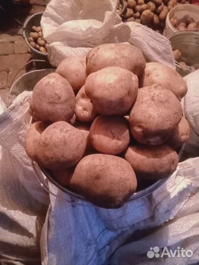 Картофель с доставкой