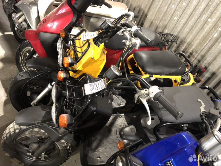 Скутер Япония 4-х такт. Honda Zoomer 50