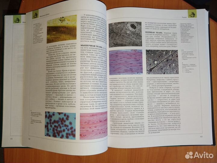 Энциклопедия по биологии для школьников 2000 г