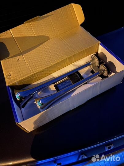 Пневмосигнал (2х рожковый)