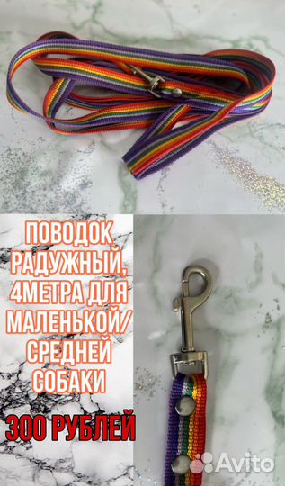 Амуниция для собак