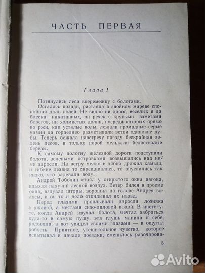 Соколов Василий. Половодье