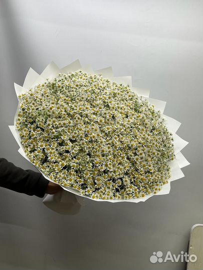 Букет ромашек