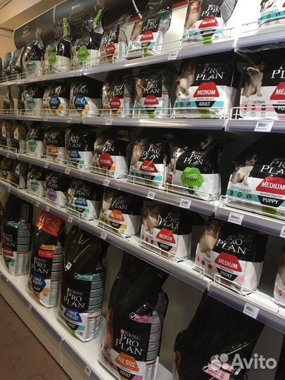 Корм Grandorf Monge Pro plan Royal