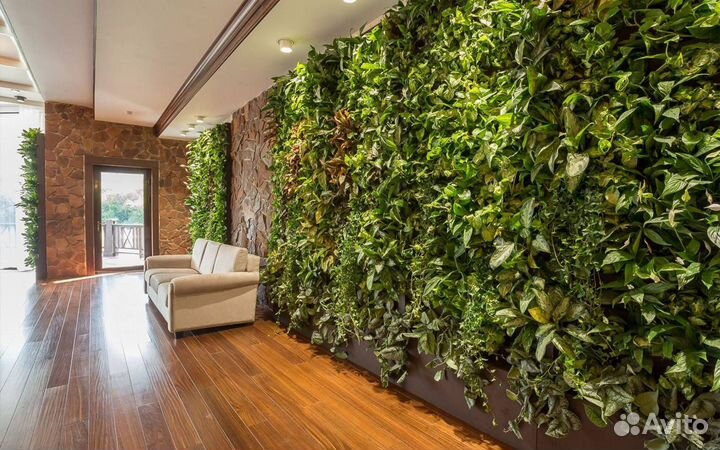 Природные оттенки: фитокартина Арт: 215073