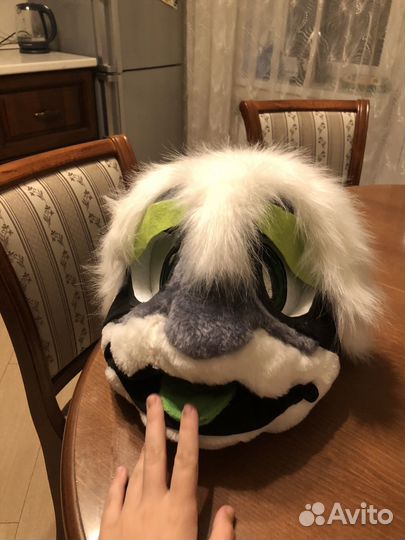 Фурсьют акулы