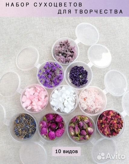 Сухоцветы для творчества