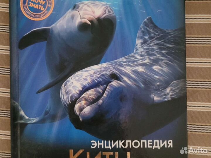 Энциклопедия