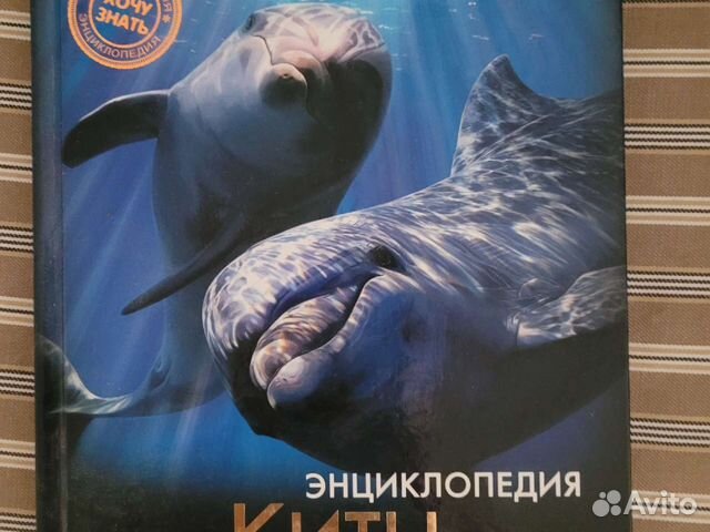 Энциклопедия