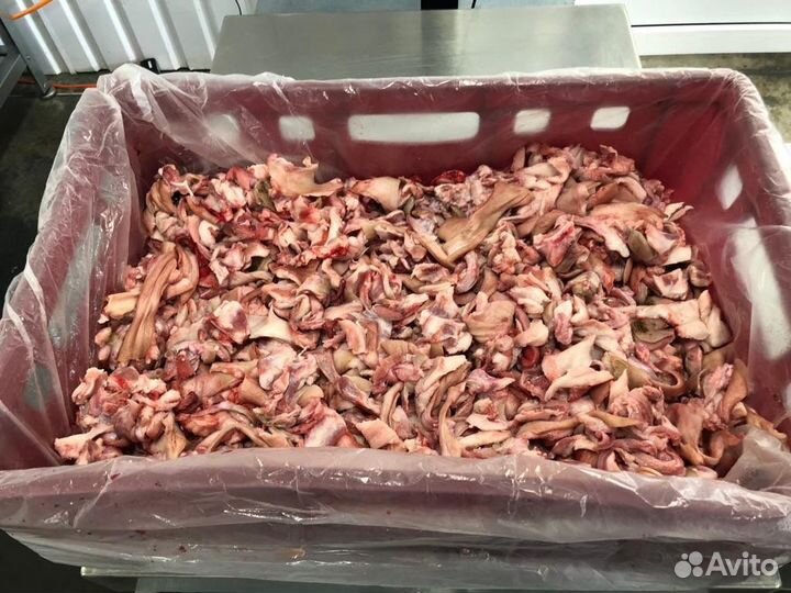 Обрезь свиных голов для животных всегда в наличии