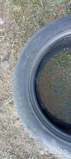 Goodyear Eagle F1 Asymmetric SUV 4x4 255/50 R19 107W