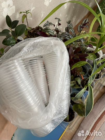 Одноразовые стаканчики 70 мл 100 штук