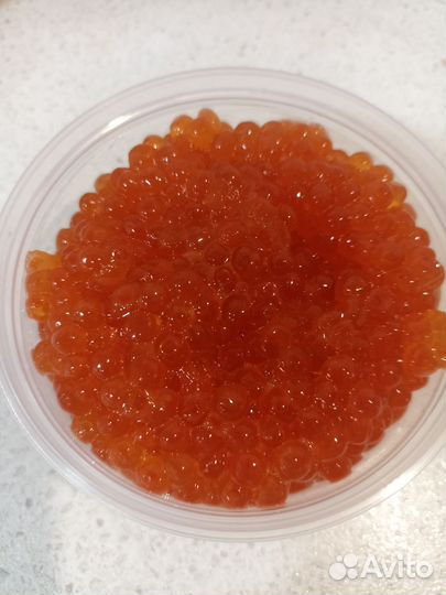 Икра кеты 2023 года