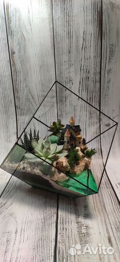 Флорариум, цветы, подарок