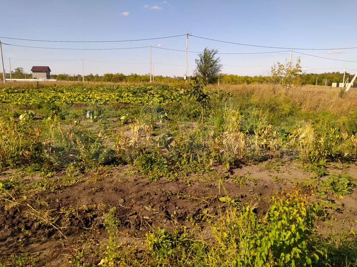 Участок 10 сот. (ИЖС)