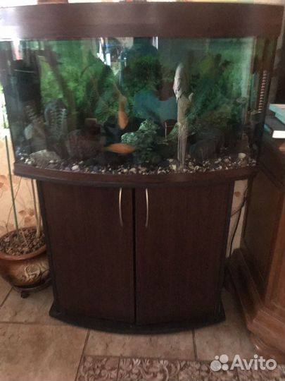 Аквариум 150 литров с тумбой
