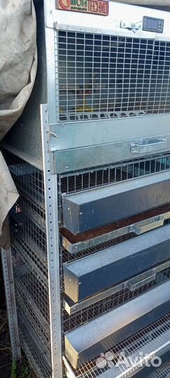 Клетки для перепелов, домашняя ферма