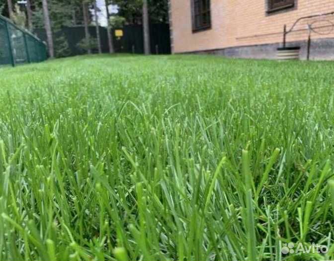 Газон. Семена мешок 10 кг