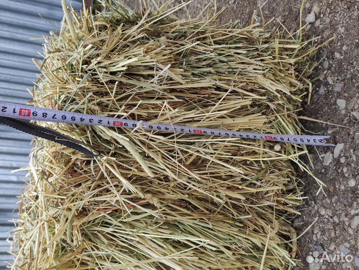 Сено в тюках с доставкой