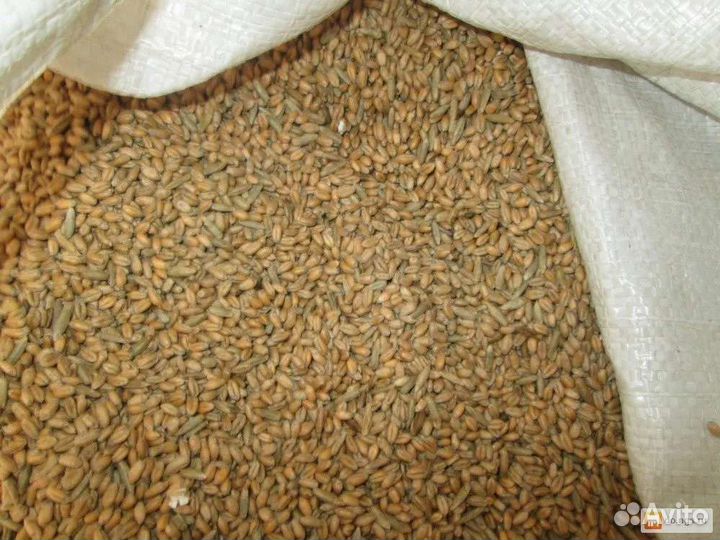 Корма для сельскохозяйственных