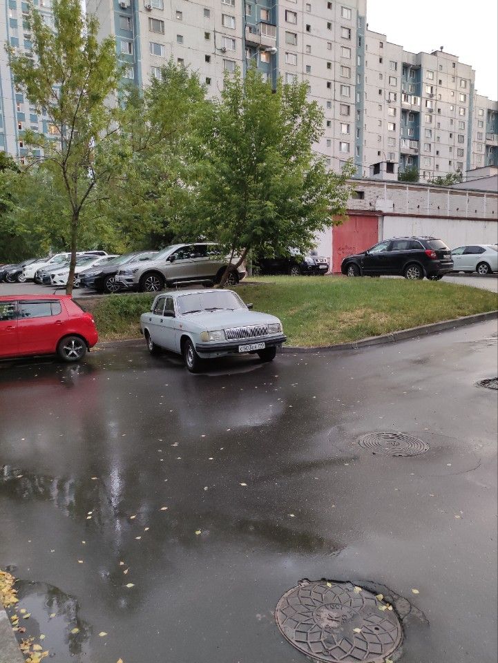 ГАЗ 31029 Волга: фото владельца