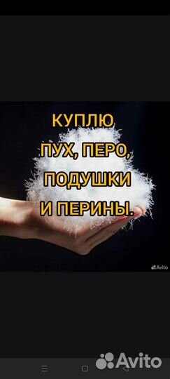 Вывоз перин подушек