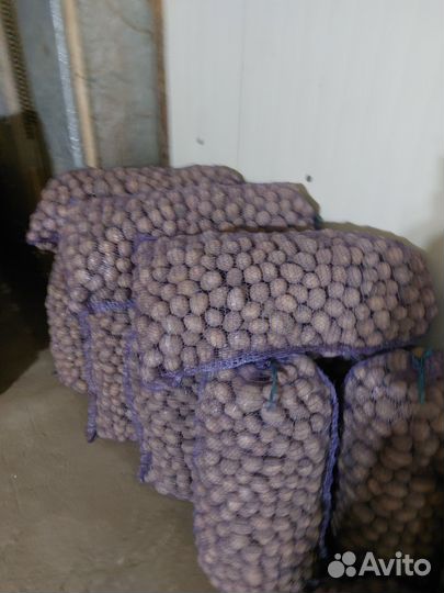 Картофель мелкий