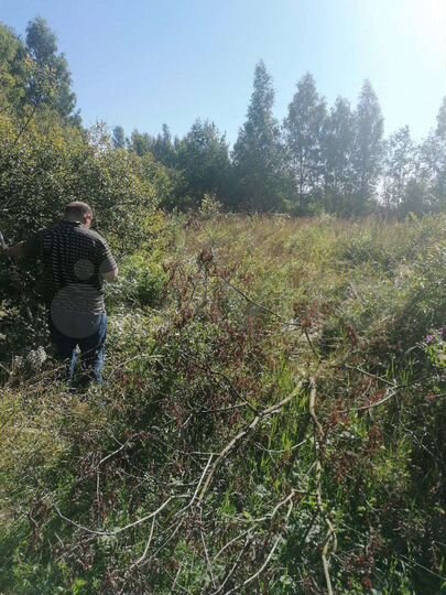 Участок 15 сот. (СНТ, ДНП)