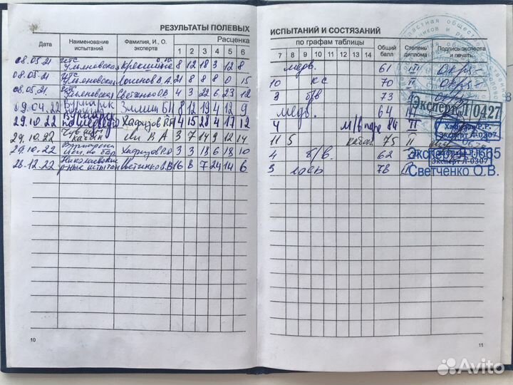 Вязка рел