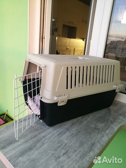 Переноска на прокат