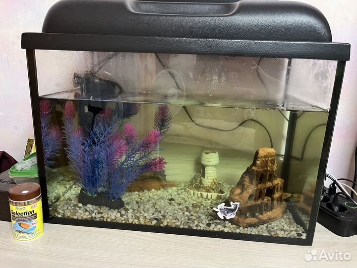 Аквариум 50л с рыбками