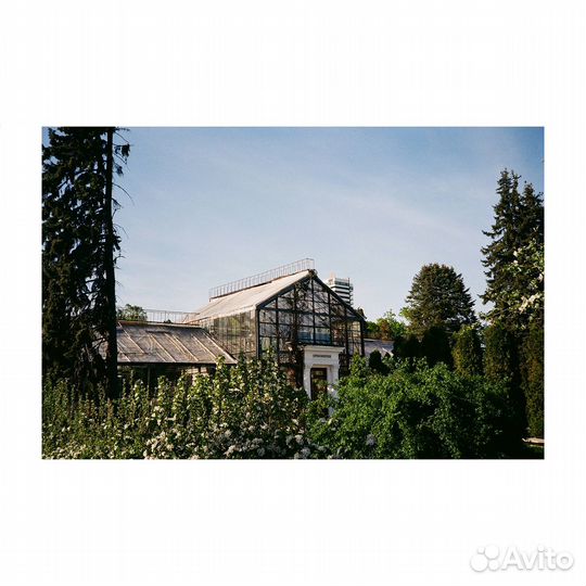 Плёночный фотоаппарат Primax PC 650