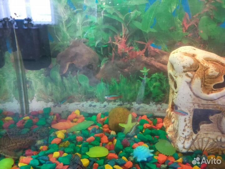 Украшения для аквариума
