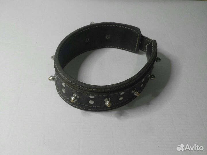 Ошейник для собак