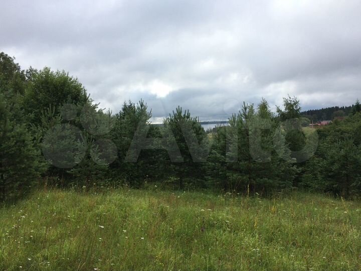 Участок 50 сот. (ИЖС)