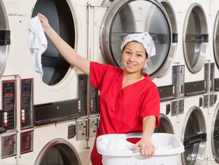 Прачка в ночь (выплаты каждую неделю)