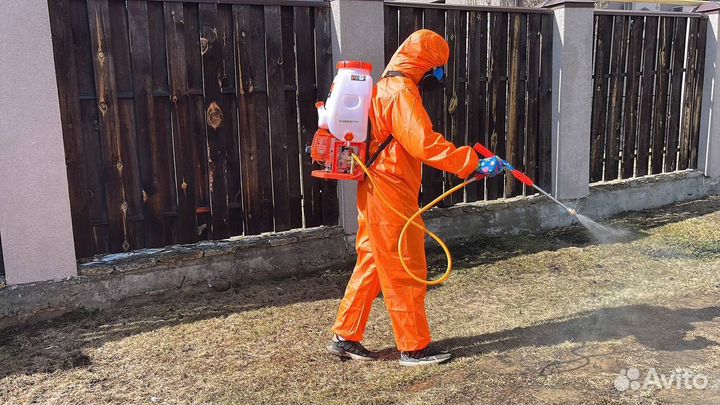 Обработка от клещей