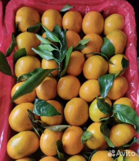 Доставка овощей и фруктов