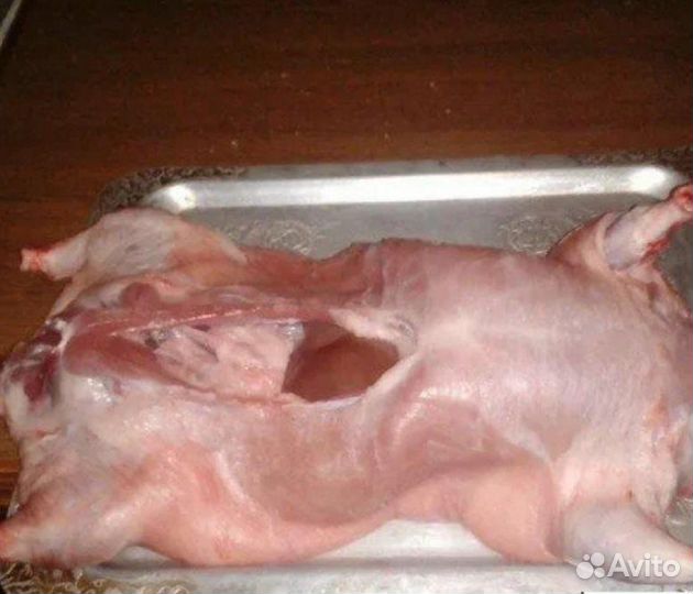 Продам нутрии