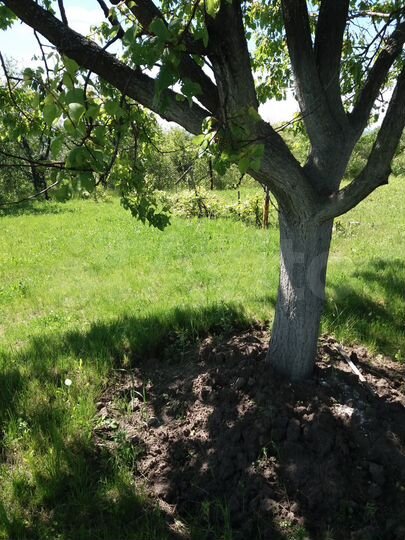 Дача 10 м² на участке 10 сот.