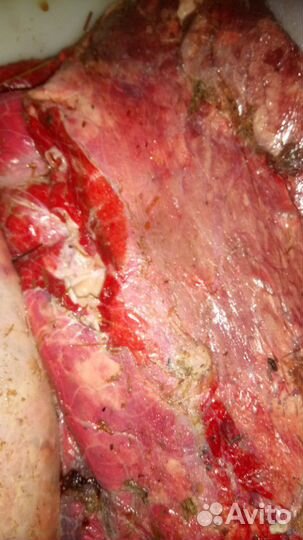 Мясо для собак