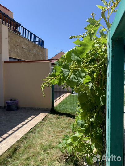 Отдых в крыму